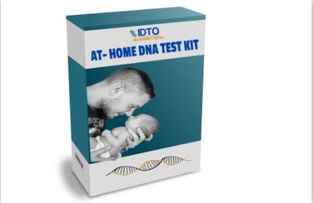 how do home dna test works