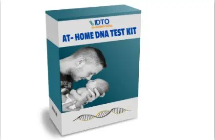 how do home dna test works