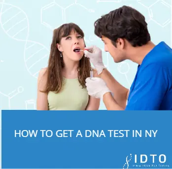 how to get dna paternity test in nyc