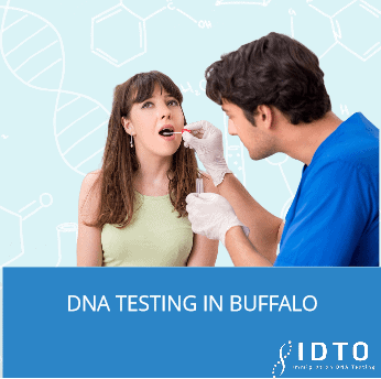 Buffalo Paternity Testing