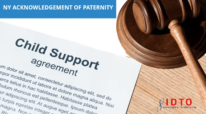 NY acknowledgement of paternity