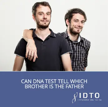 can paternity test tell between brothers