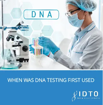 dna paternity testing timeline